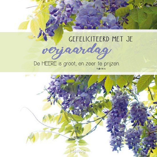 Gefeliciteerd met je verjaardag - wenskaart Bijbeltekst SV