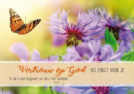 Vertrouw op God Hij zorgt voor je - wenskaart Bijbeltekst SV
