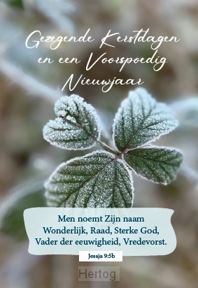 Gezegende Kerstdagen en een Voorspoedig Nieuwjaar - minikaart Bijbeltekst