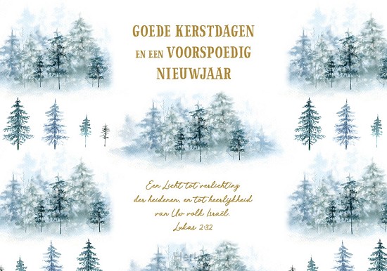Map Goede Kerstdagen en een Voorspoedig Nieuwjaar - met Bijbeltekst