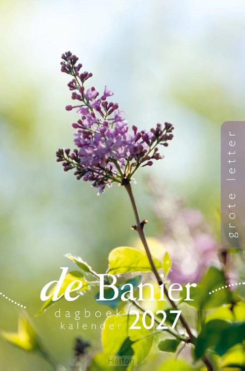 Dagboekkalender 2027 - grote letter